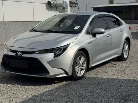 Toyota Levin, 2020 — сүрөт 1