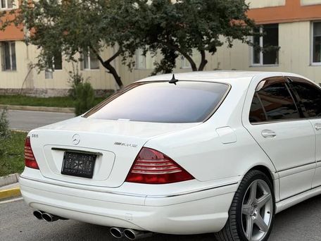 Mercedes-Benz S-Класс, 2003 — 照片 6