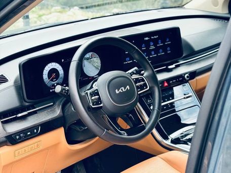 Kia Carnival, 2022 — фото 10