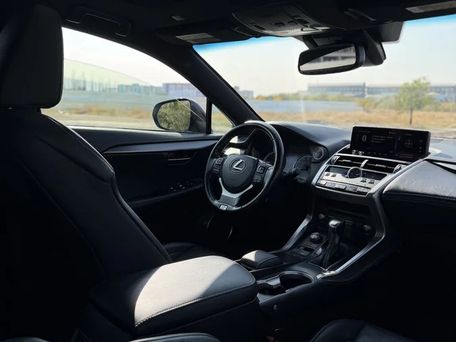 Lexus NX, 2019 — 照片 10