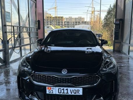 Kia Stinger, 2019 — photo 4