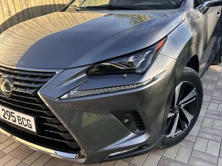 Lexus NX, 2021 — фото 8
