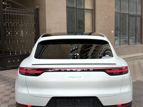Porsche Cayenne, 2022 — фото 12