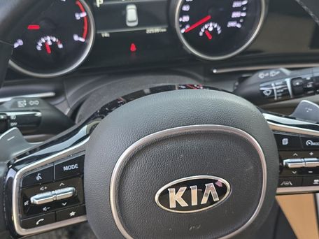 Kia Carnival, 2020 — photo 12