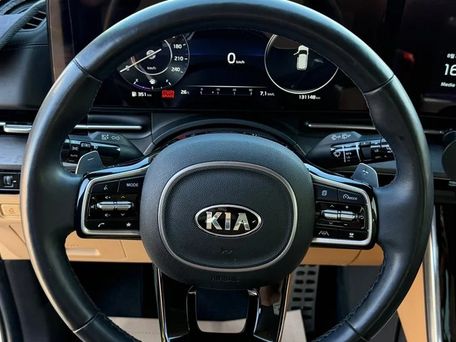 Kia Carnival, 2020 — фото 10