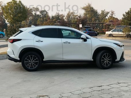 Lexus NX, 2022 — photo 4