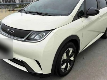 BYD Dolphin, 2021