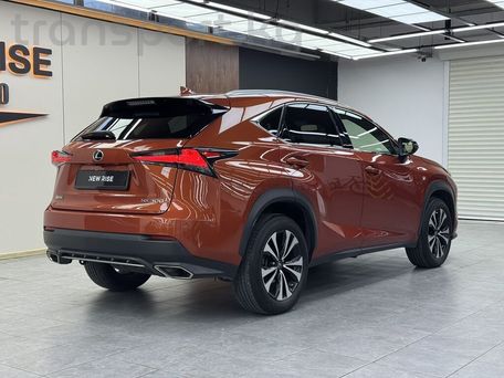 Lexus NX, 2021 — фото 4