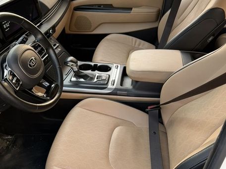 Kia Carnival, 2021 — фото 10