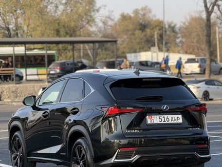 Lexus NX, 2019 — 照片 13