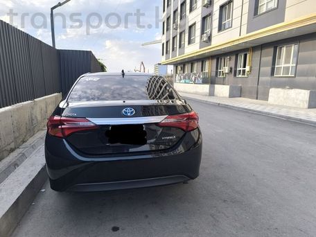 Toyota Corolla, 2019 — 照片 3