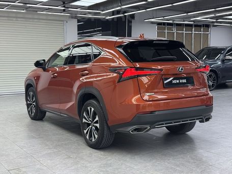 Lexus NX, 2021 — фото 6