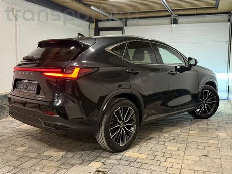Lexus NX, 2022 — photo 2