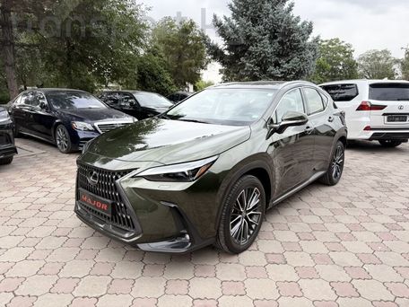 Lexus NX, 2022 — фото 1