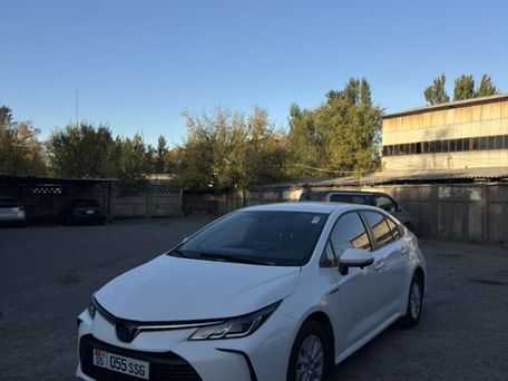 Toyota Corolla, 2019 — 照片 5