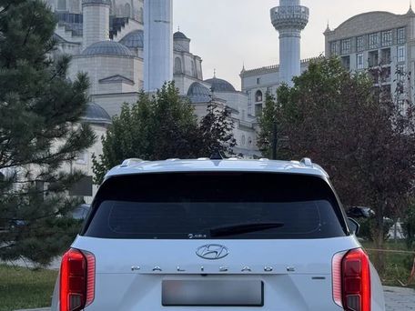 Hyundai Palisade, 2020 — photo 5