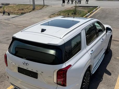 Hyundai Palisade, 2021 — photo 4