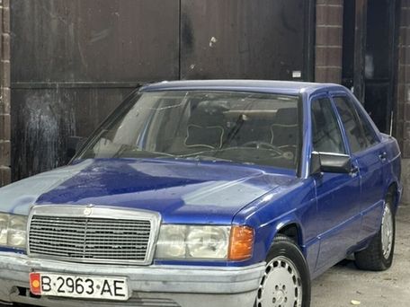 Mercedes-Benz 190 (W201), 1989 — 照片 2