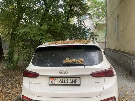 Hyundai Santa Fe, 2020 — 照片 3