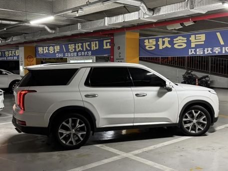 Hyundai Palisade, 2021 — 照片 6