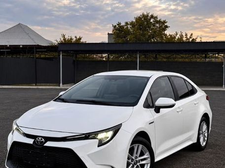 Toyota Levin, 2021 — сүрөт 3