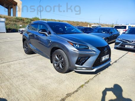 Lexus NX, 2020 — photo 5