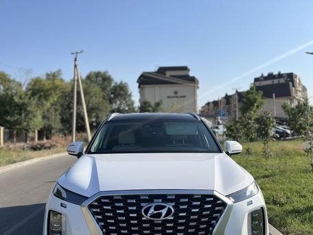 Hyundai Palisade, 2019