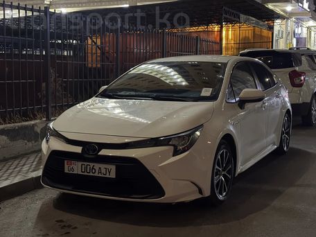 Toyota Levin, 2023 — сүрөт 1