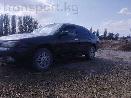 Nissan Primera, 2001 — 照片 6