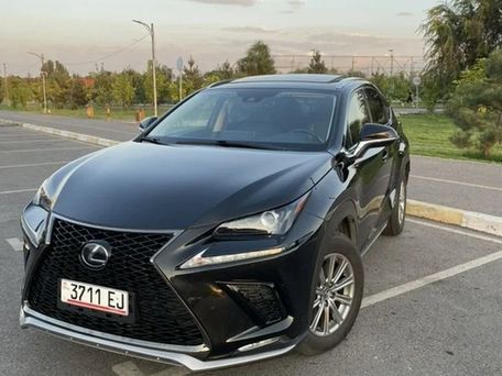 Lexus NX, 2020 — фото 1
