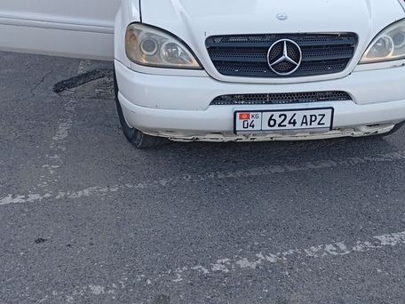 Mercedes-Benz S-Класс AMG, 1998