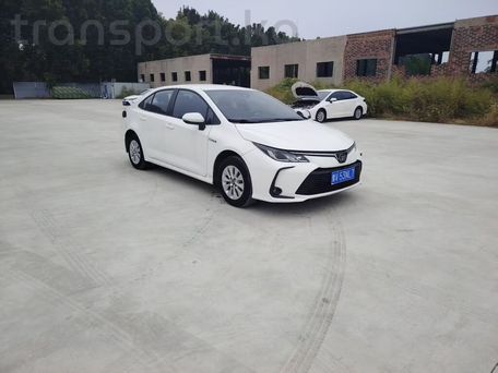 Toyota Corolla, 2021 — 照片 3