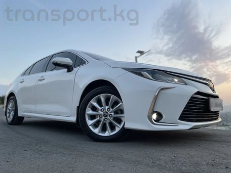 Toyota Corolla, 2020 — photo 2