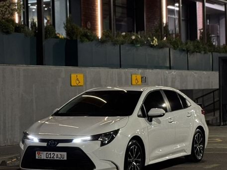 Toyota Levin, 2023 — 照片 1