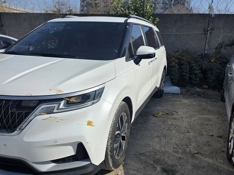 Kia Carnival, 2020 — photo 1