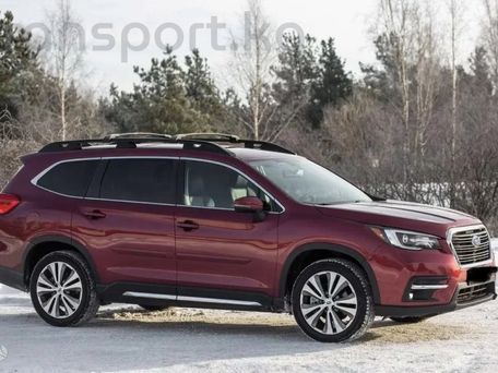 Subaru Ascent, 2020 — фото 2