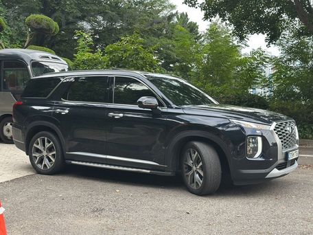 Hyundai Palisade, 2020 — фото 16
