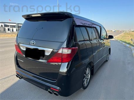 Toyota Alphard, 2009 — фото 2