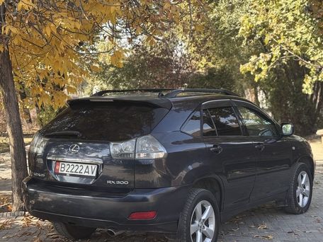 Lexus RX, 2003 — сүрөт 8