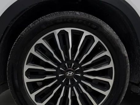 Hyundai Palisade, 2019 — 照片 8