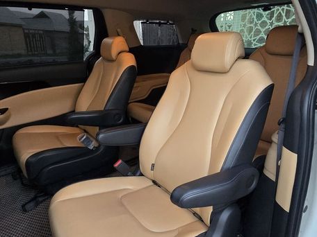 Kia Carnival, 2020 — photo 3