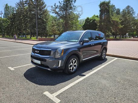 Kia Telluride, 2019 — фото 7