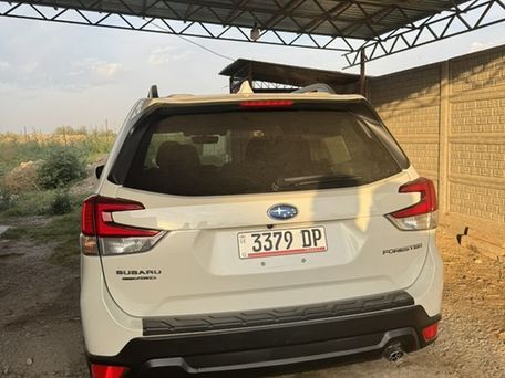 Subaru Forester, 2020 — 照片 5