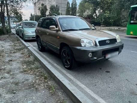 Hyundai Santa Fe, 2004 — photo 2
