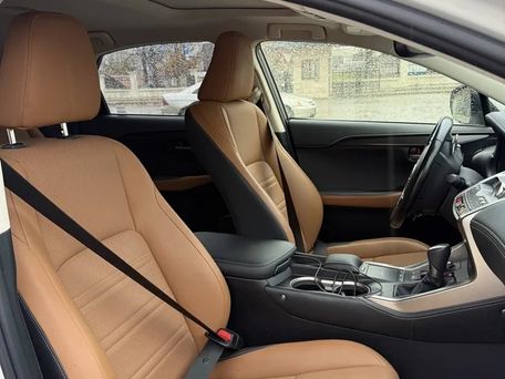 Lexus NX, 2019 — photo 9