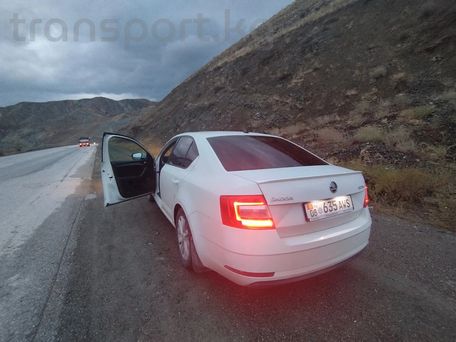 Skoda Octavia, 2017 — 照片 6