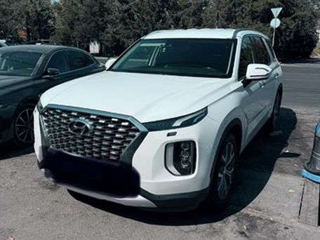 Hyundai Palisade, 2020