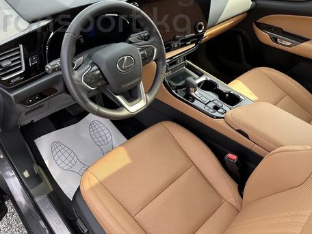 Lexus NX, 2021 — фото 4