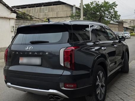 Hyundai Palisade, 2019 — фото 7