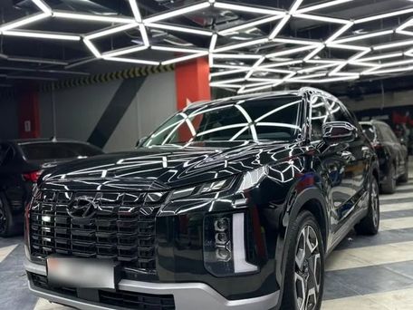 Hyundai Palisade, 2023 — фото 10